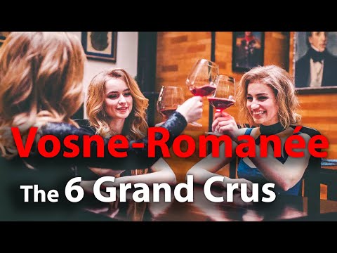 Os 6 Grands Crus de Vosne-Romanée | Conheça o seu vinho da Borgonha!