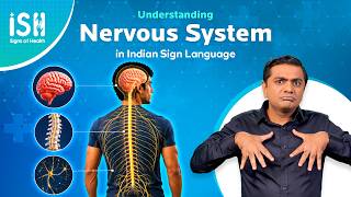 Understanding the Nervous System and Reflex Actions | Signs of Health
