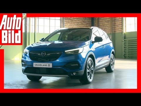 Opel Grandland X (2017) Review/Details/Erklärung