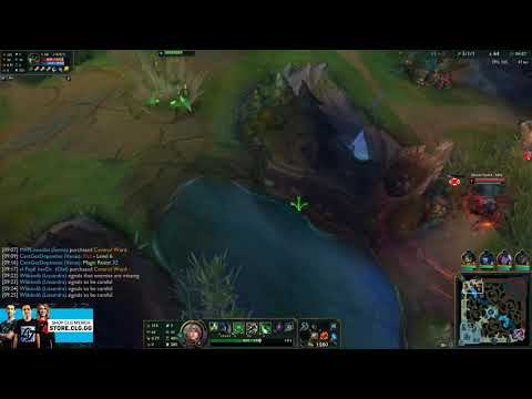 [ Adrian Riven ] Riven vs Warwick Top - Adrian Riven Platinum II 23 LP