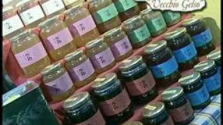 Video Agriturismo Marche italiano