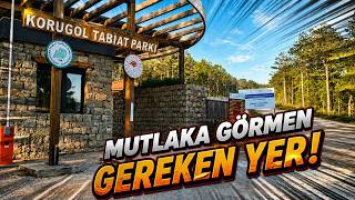 🌿 Koru Gölü | Doğanın Kalbinde Muhteşem Bir Keşif #korugölü #belgesel