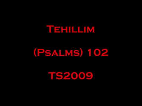 102 Tehillim (Psalms) - Read Along