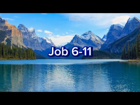 Job 6-11. Audio Bible. KJV