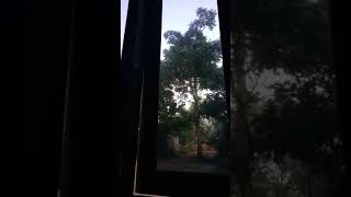 Download lagu suara ayam hutan jantan..cocok buat pikat niee.. mp3 Download lagu suara ayam hutan jantan..cocok buat pikat niee.. mp3