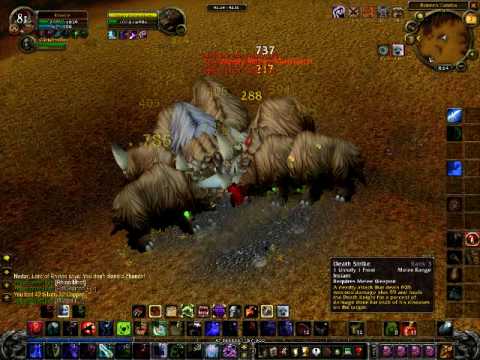 WoW: Wotlk Unholy Death Knight AoE Damage *DK VS 20 RHINOS*