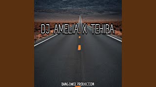 Download lagu Dj Amelia X Tehiba mp3