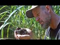 Recreating Terra Preta: The Search for Ancient Composting Secrets