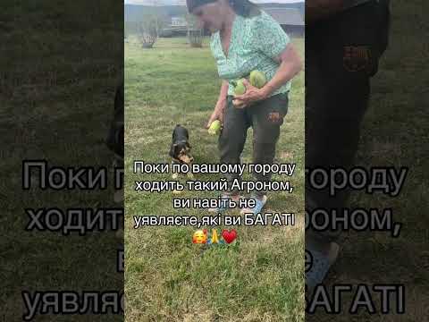 Поки по вашому городу ходить такий агроном ви навіть не уявляєте які ви багаті