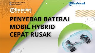 Hati hati! Ternyata Ini Penyebab Baterai Mobil Hybrid Cepat Rusak, Perlu Lakukan Hal Ini
