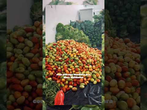 Entrega de Produtos do PAA em Igreja Nova