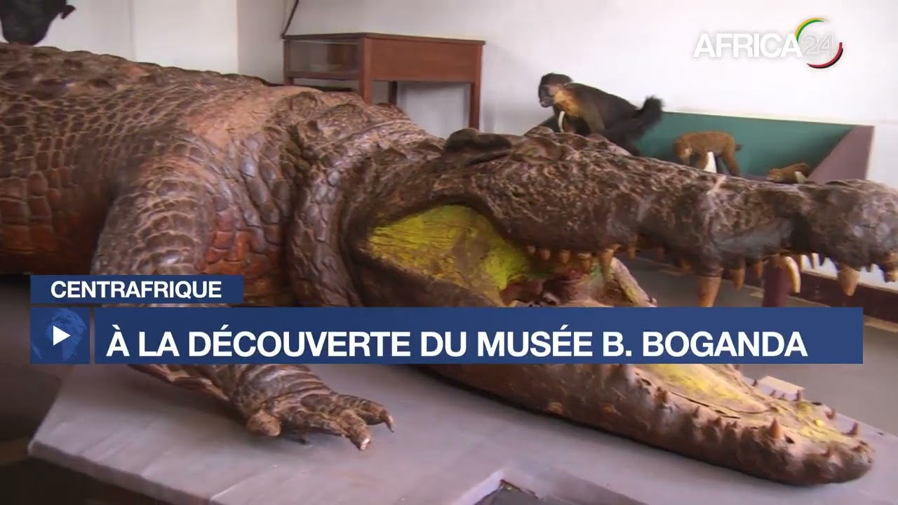 République Centrafrique: Réhabilitation envisagée du musée national Barthélemy Boganda