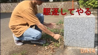 この世の全ての雑草を、駆逐してやる・・・！（時代遅れ）[Weed destroyer]