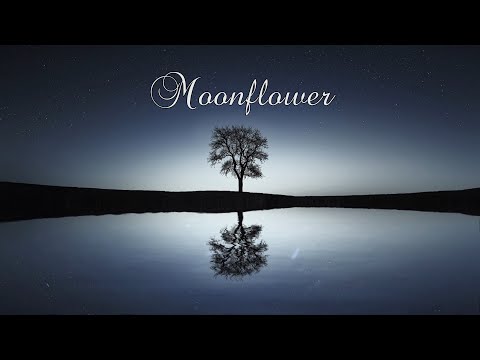 Aestrea - Moonflower (Lyrics)
