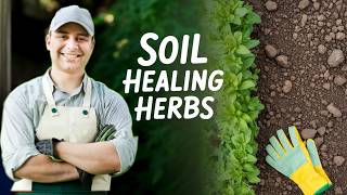 Forget Fertilizer | These 5 Herbs Revive Soil Naturally