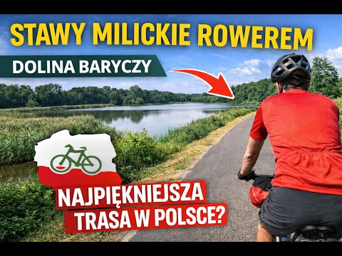 Stawy Milickie rowerem 🚴‍♂️ | Dolina Baryczy –jedna z najpiękniejszych tras w Polsce (Rawicz–Milicz)