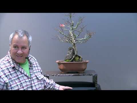 Scott Elser Critique BSOP 2021-11-23