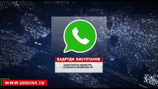 Чеченские бизнесмены готовятся к инвестиционному форуму в Сочи