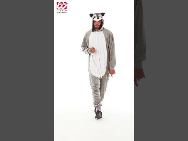 Maskeraddräkt med tvättbjörn video