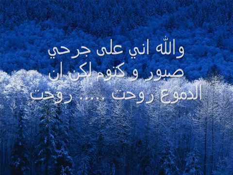 من تحت لتحت حامد زيد