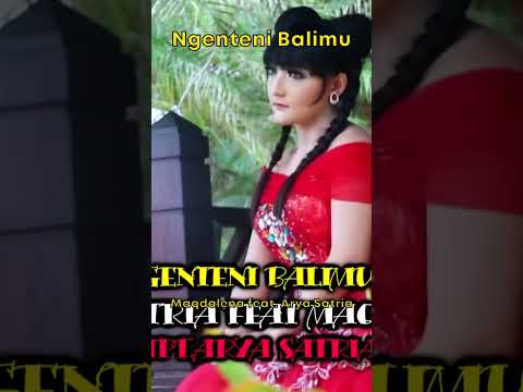 Maqdalena feat. Arya Satria - Ngenteni Balimu #Shorts