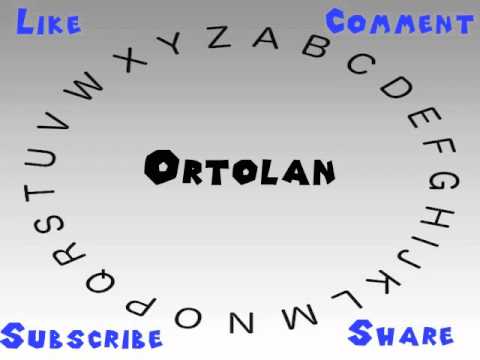 How to Say or Pronounce Ortolan
