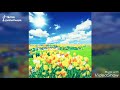 Keun Saragaru Whatsapp Status