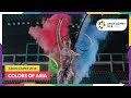 #AsianGames2018 - Colors of Asia