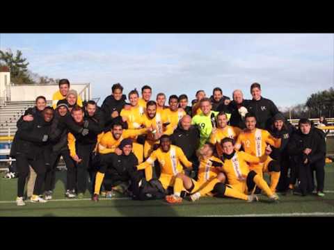 Developing Professional Knowledge