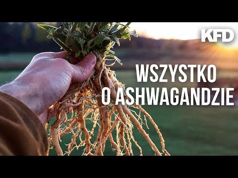 Masażu z obniżonym napięciem mięśniowym Jak rozluźnić mięśnie odbytu