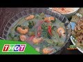 Món đồng Ngon Từ Tôm Lóng | Đặc Sản Miền Sông Nước | THDT