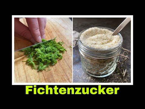 Fichtennadelzucker Rezept | Maiwipfel Zucker selber machen | Selbstversorgung