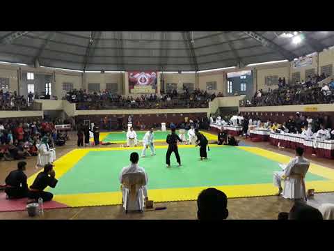 kejuaraan pencak silat terbaru 2017 kejuaraan pencak silat terbaru 2017