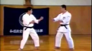 Kihon kumite n°7