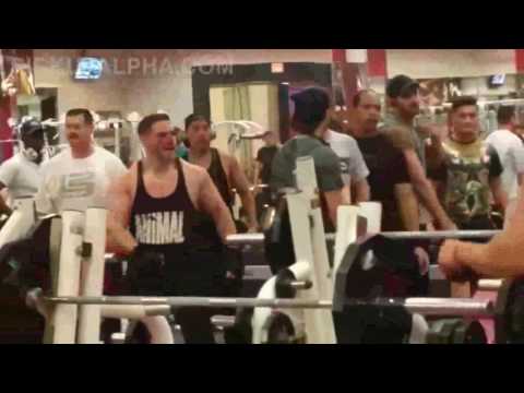Pelea en un Gimnasio| culturistas peleando en un gym.