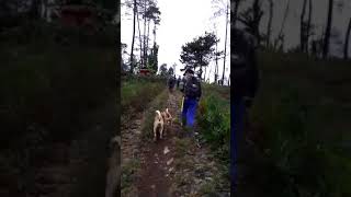 Download lagu Moro bagong gunung satria garut mp3 Download lagu Moro bagong gunung satria garut mp3