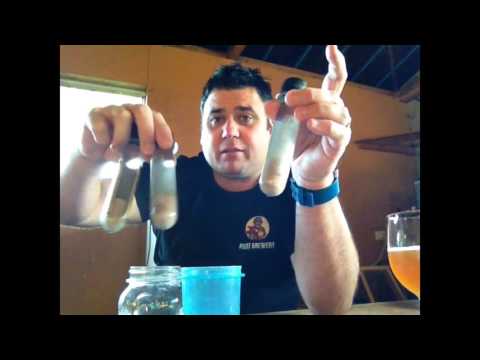 H.B.W # 70 A wee bit of help with Punk IPA Please & yeast stuff!