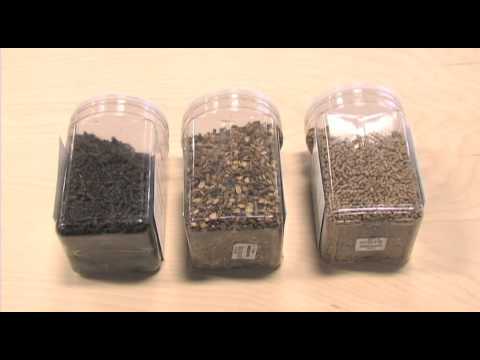 Refeeding Starved Horses