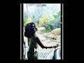 Maalayil Yaaro Manathodu Peasa Feel The Lyrics Whatsapp Status