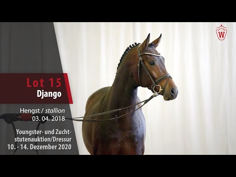 Youngster- und Zuchtstutenauktion/Dressur Lot 15 Django Hengst v. Dreamline - Fürst Piccolo