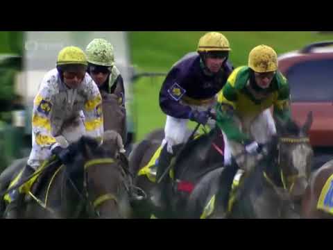 127. Velká Pardubická 2017 - No Time To Lose (Jan Kratochvíl)