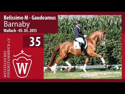 35 Barnaby Wallach v.  Belissimo M -  Gaudeamus