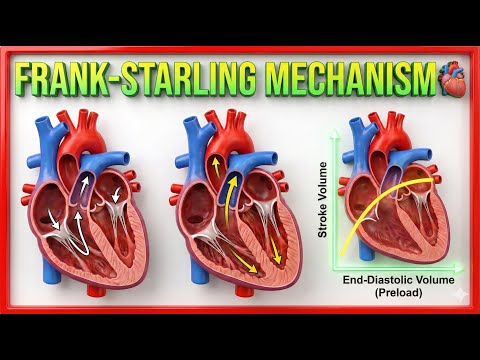 Frank-Starling Mechanism🫀Preload & Afterload Explained | USMLE Step 1 CVS Physiology Made Easy