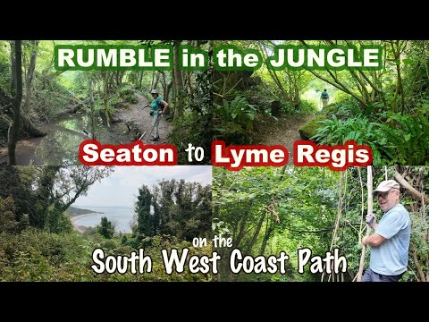 Walking from SEATON to LYME REGIS on the SWCP - Rumble in the Jungle!