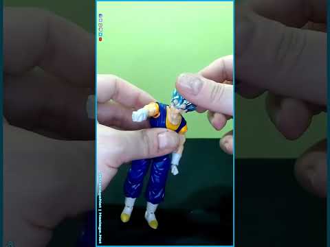 #Dragon #Ball #Evolve Super Saiyan Blue Vegito #DB | HNE Toys