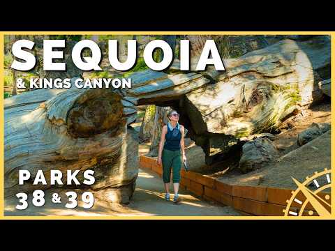 🌳🗻 Walking Among Giants: Exploring Sequoia & Kings Canyon | National Parks with the Newstates