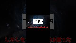 この世には二種類の銃が存在します。