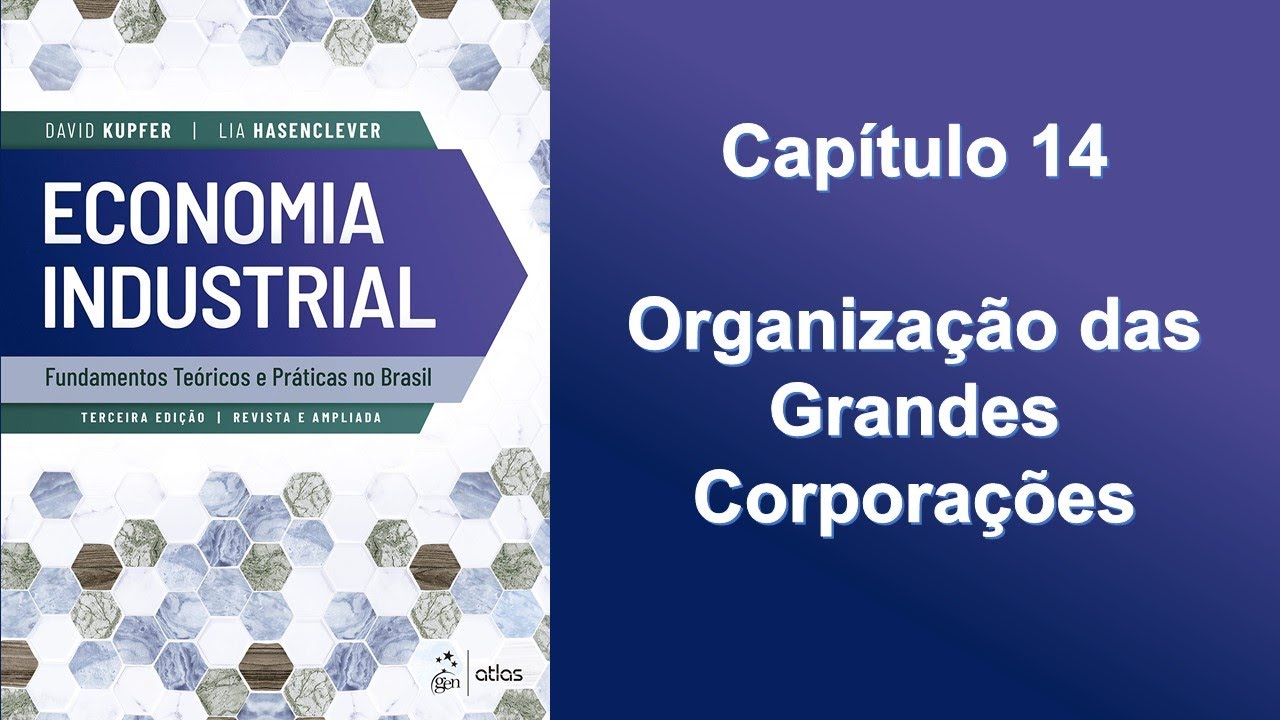 Economia Industrial | 14 Organização das Grandes Corporações