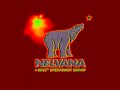 Nelvana In 4ormulator V1