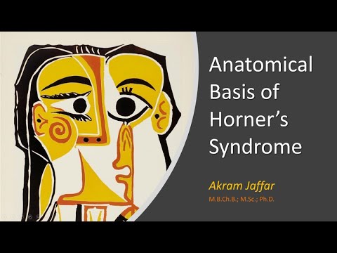 Anatomical Basis of Horner's Syndrome
